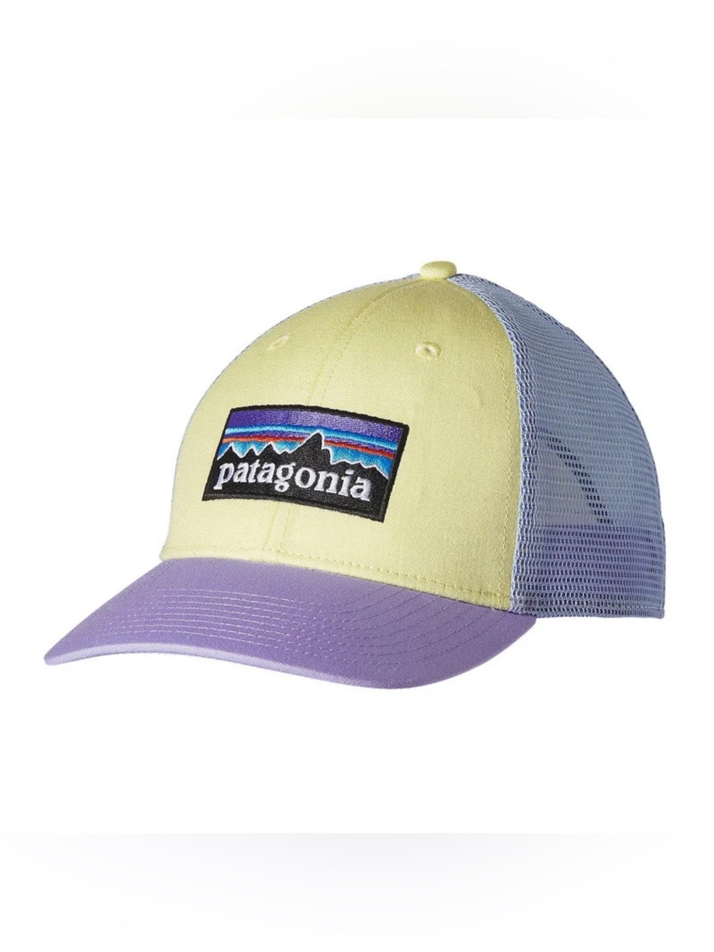 Patagonia P-6 Logo LoPro Trucker Hat